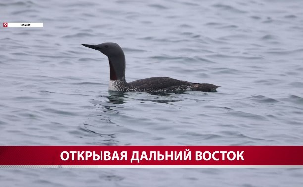 В конкурсе "Дальний Восток - земля приключений" примет участие картина о Шумшу и Монероне