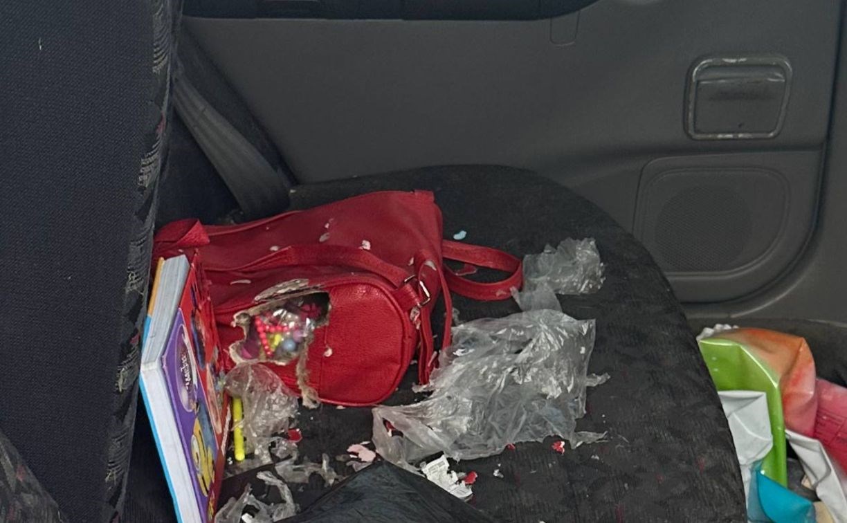 Крысы проникли в автомобиль сахалинки и сгрызли детский рюкзак