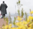 Коронавирус опустил Сахалин в рейтинге социально-экономического положения регионов