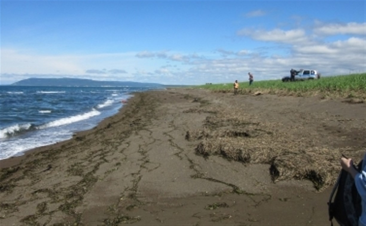  Сахалинский следком опубликовал фото с места обнаружения тела неизвестного на морском берегу