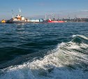 Стать резидентами свободного порта Корсаков и получить льготы смогут и новые, и действующие компании