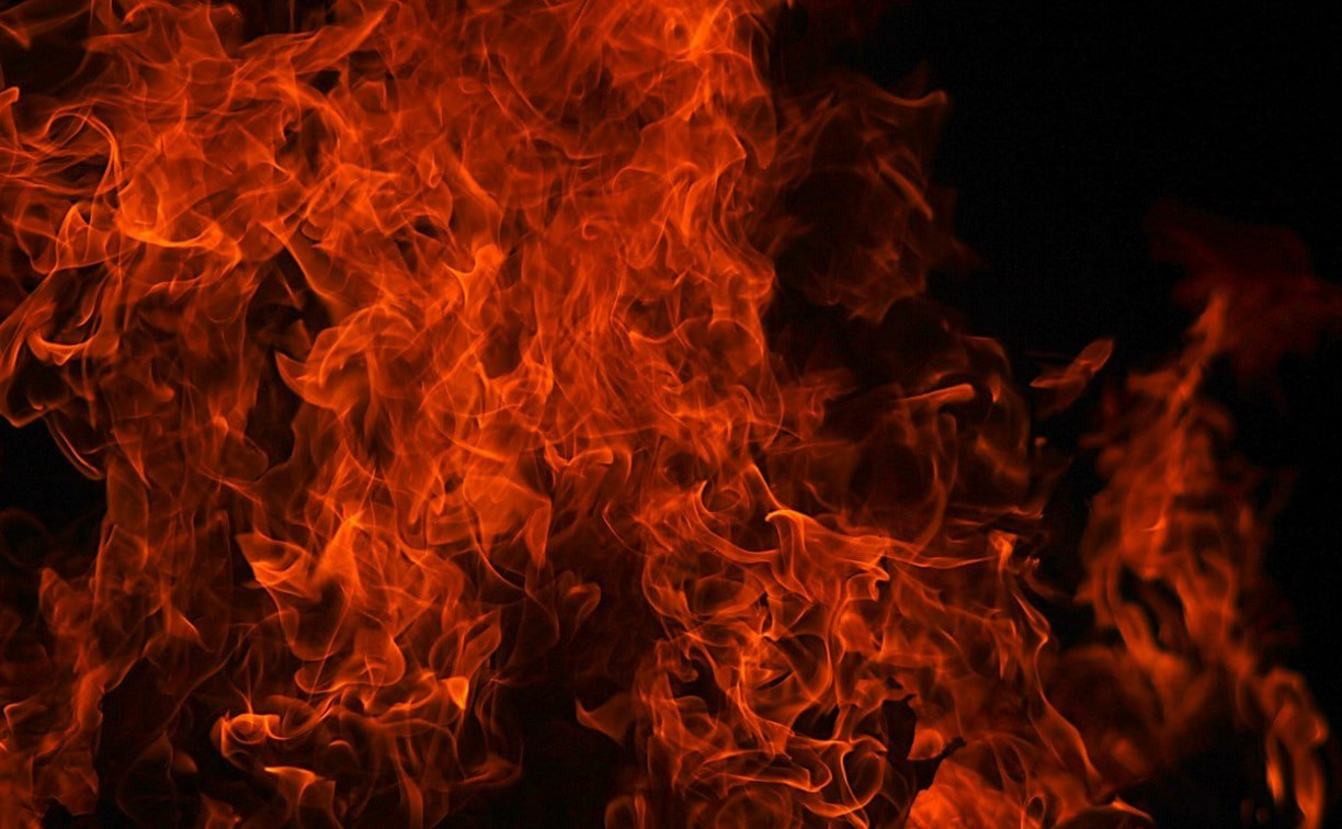 Лошадей эвакуировали при пожаре в конноспортивном клубе в Южно-Сахалинске