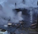 При пожаре на даче в Макаровском районе погибли 26 кур