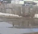 Канализационные воды третий день текут рекой в Новоалександровске