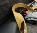 У сахалинцев изъяли 8 единиц огнестрельного оружия за неделю