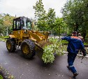 В городском парке Южно-Сахалинска устраняют последствия циклона