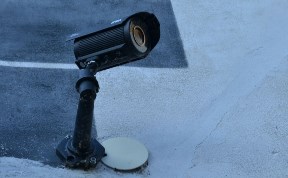 Общество