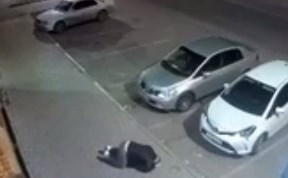 Происшествия