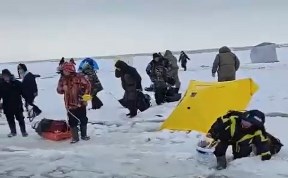 Происшествия