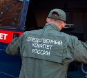 На пляже в Анивском районе обнаружили тело женщины 