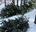 На Сахалине новогодние елки охраняют с помощью дронов