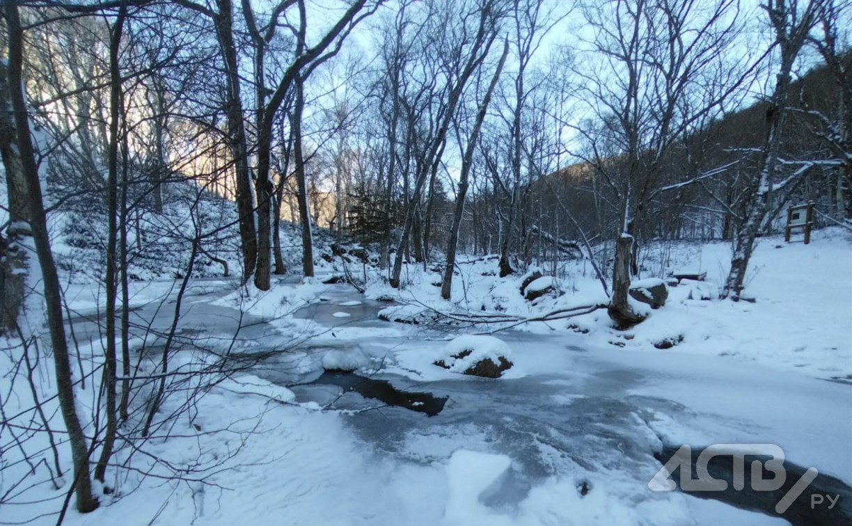 Ветер до 20 м/с поднимется на побережье Сахалина