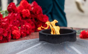 Общество