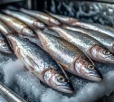 Дальневосточные рыбаки идут на рекорд по добыче сельди