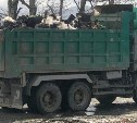 Мэрия Южно-Сахалинска охотится за мусоровозами-нарушителями