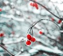 На Сахалине вновь потеплеет: прогноз погоды для всех районов на 12 февраля