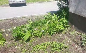 Общество