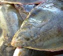 Южно-Курильский рыбокомбинат перевозил камбалу с нарушениями
