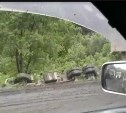 КамАЗ перевернулся на узкой дороге в районе Углегорска