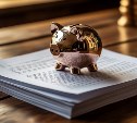 ИНН для сахалинцев уходит в прошлое: свидетельство заменят на цифровой документ