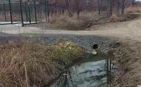 Общество