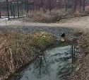 Владелец участка в Третьей Пади объяснил, зачем засыпал канаву перед подтоплением села