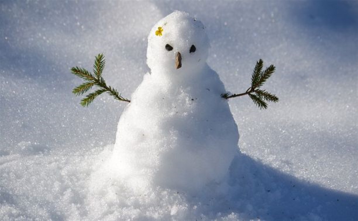 Astv.ru объявляет конкурс снеговиков среди южно-сахалинских детских садов