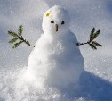 Astv.ru объявляет конкурс снеговиков среди южно-сахалинских детских садов