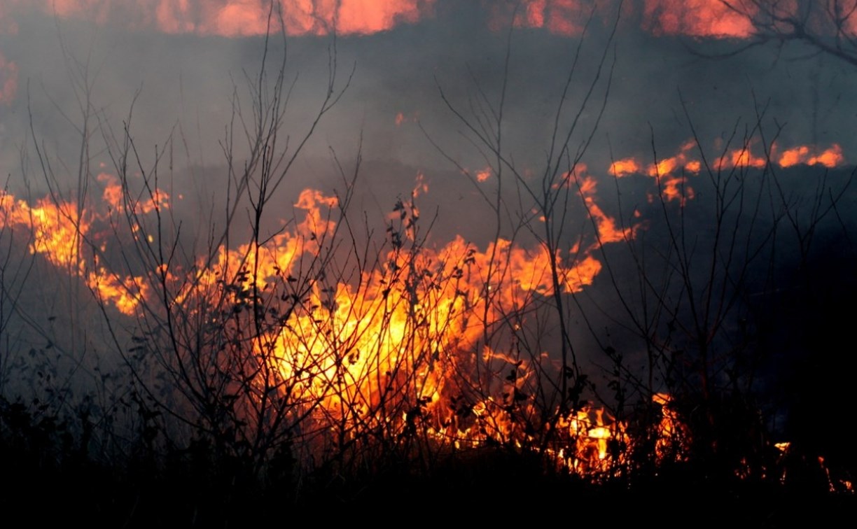 Шесть пожарных в Невельске отправили тушить траву