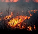 Шесть пожарных в Невельске отправили тушить траву