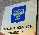 Владельцы сахалинского предприятия украли у государства более 19 млн рублей