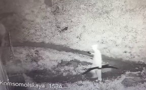 Происшествия