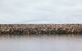 Происшествия