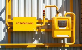 Общество
