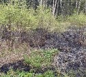 Пожар на кромке леса у ж/д дороги потушили в селе Новое 