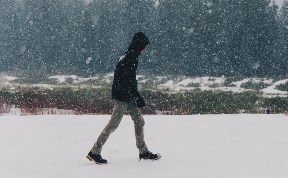 Общество