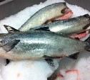 Прошлогодний лосось может появиться в сахалинских магазинах под видом свежего улова