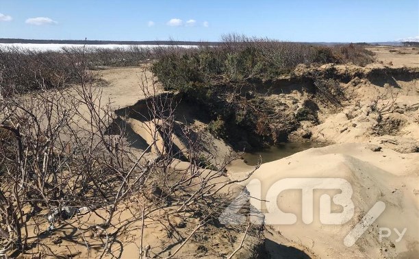 "Выгребли до кустов": сахалинцы сообщают о незаконной добыче песка на Тёплых озёрах