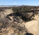 "Выгребли до кустов": сахалинцы сообщают о незаконной добыче песка на Тёплых озёрах