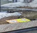 Дома на Курилах вибрировали во время ураганного ветра