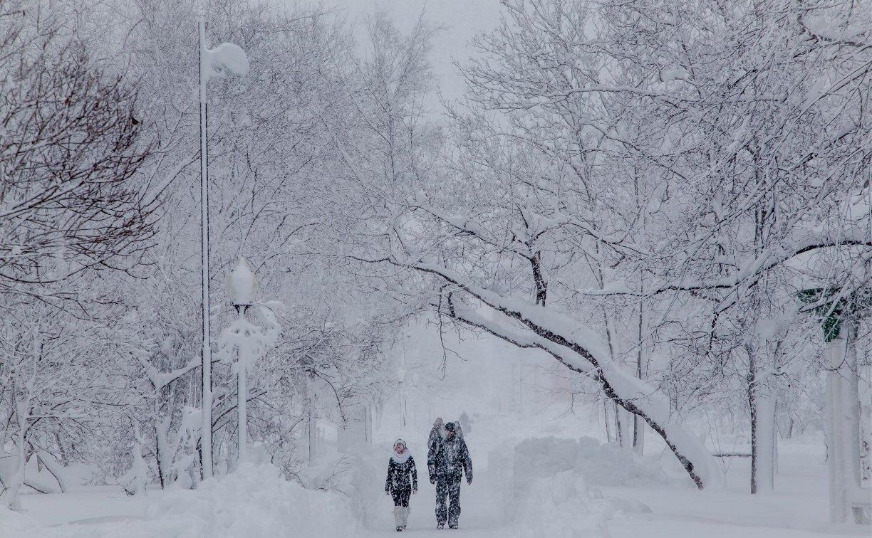 Сахалин завалит снегом,  на Курилах ожидается штормовой ветер