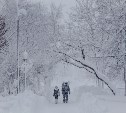 Сахалин завалит снегом,  на Курилах ожидается штормовой ветер