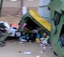 В Аниве седан протаранил площадку для сбора мусора