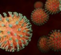 Сахалинцы стали чуть меньше болеть коронавирусом