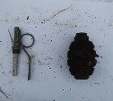 В Смирныховском районе полицейские изъяли у местного жителя боеприпасы и взрывчатые вещества 