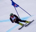  Сахалинец в Австрии завоевал половину всех медалей для горнолыжной сборной России