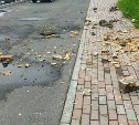 "Забилась в угол, придерживая шкаф": мощное землетрясение застало курильчанку в ванной