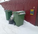 Мусорный контейнер в Южно-Сахалинске отметил месяц со дня своего переполнения