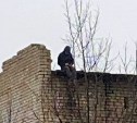 Полицейские больше часа убеждали жителя Смирных не прыгать с крыши