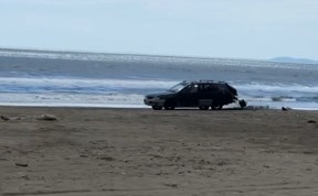 Общество